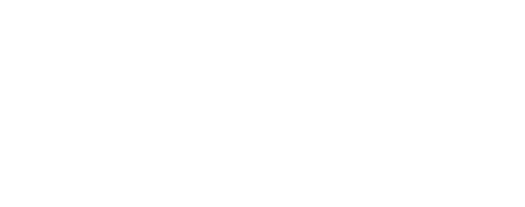 Smart Social Connector logo